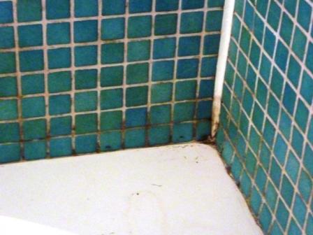 Tiled Bathroom before cleaning by Tile Doctor Applicator Edinburgh & Fife
